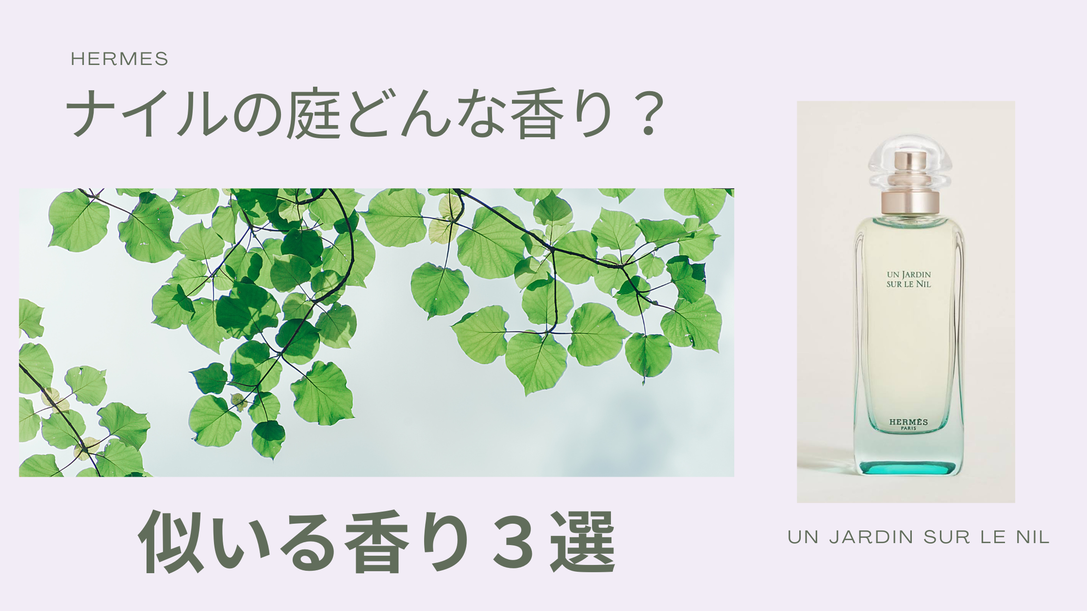庭 30ml hermes 香水 ナイルの庭 エルメス ナイルの庭 香り解説 似ている